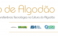 O Brasil ofertará curso de Algodão para profissionais de África O Brasil ofertará curso de Algodão para profissionais de África