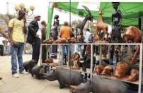 Cacuaco expõe artesanato em prol ao Dia da Cultura Nacional Cacuaco expõe artesanato em prol ao Dia da Cultura Nacional