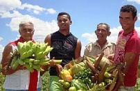 Programa de Aquisição de Alimentos chega aos dez anos como uma política exitosa no País Programa de Aquisição de Alimentos chega aos dez anos como uma política exitosa no País